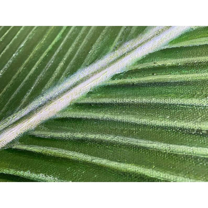 The image is a close-up of a green leaf with a white line running through it.