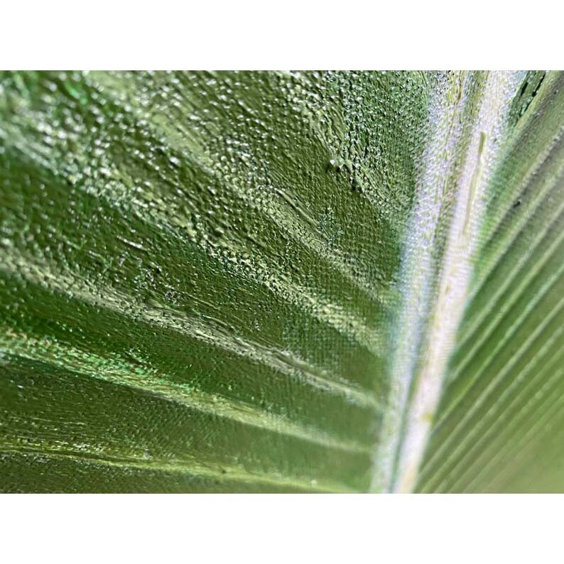 The image is a close-up of a green leaf with a textured surface, showcasing the intricate patterns and textures of the plant's natural structure.