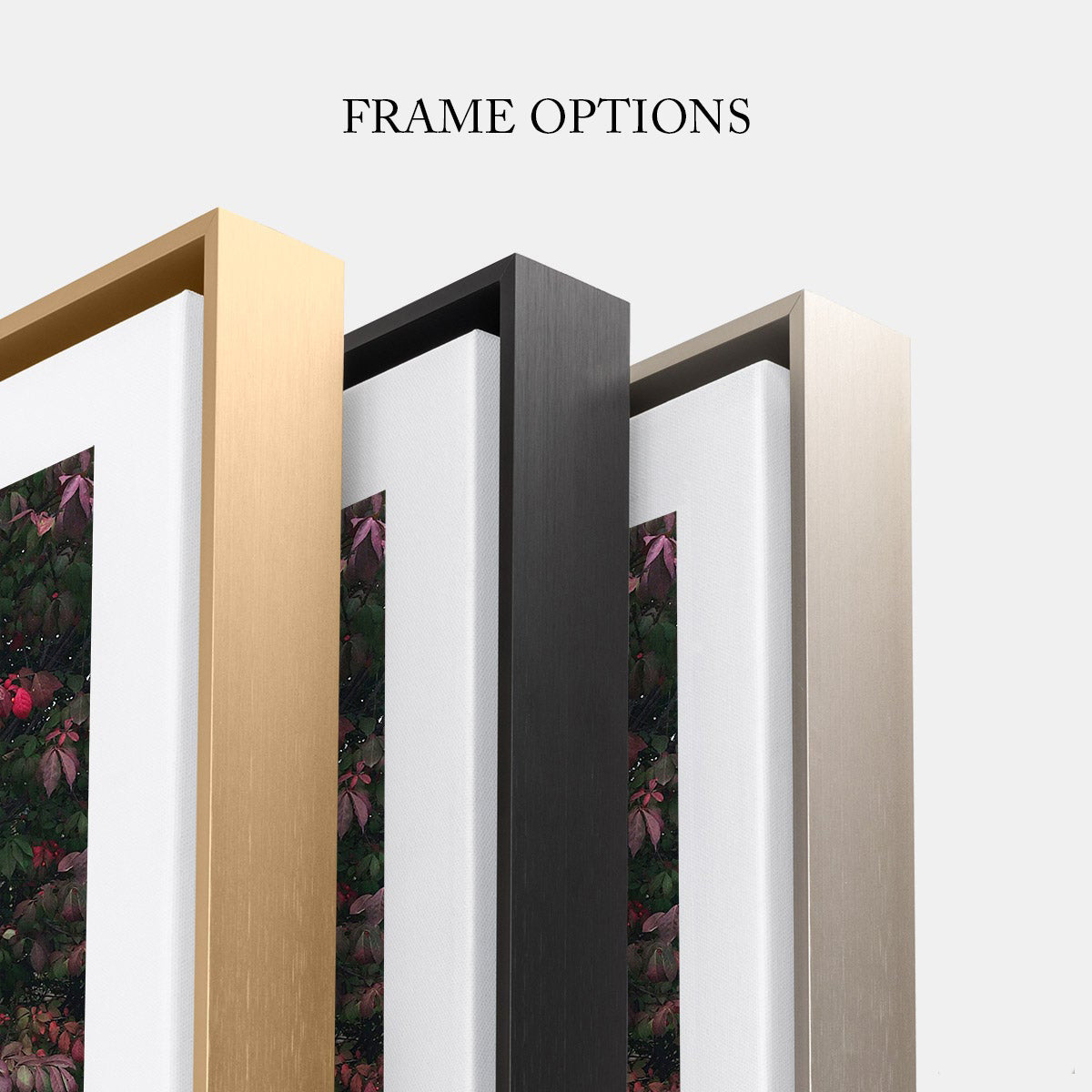 three frames with a picture of flowers on them