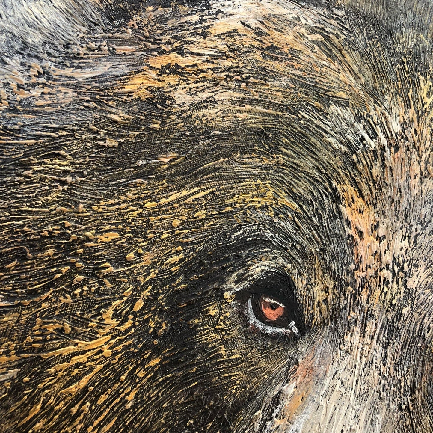 a close up of an elephant's eye with a blurry background